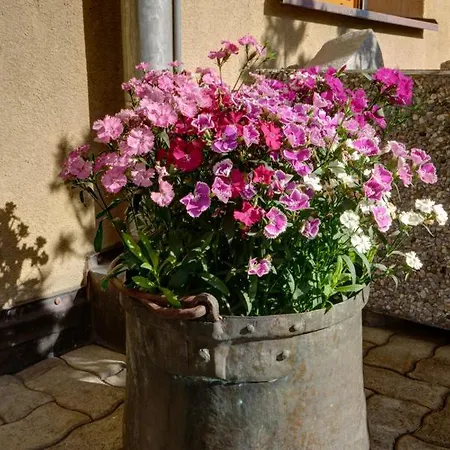 公寓 Chesa Munteratsch 2-zimmerwohnung 302 Typ E *