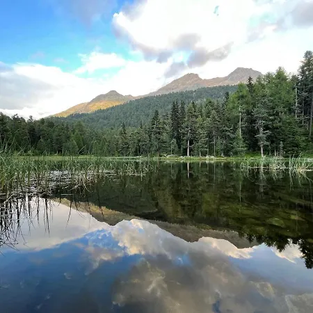 Chesa Munteratsch 2-zimmerwohnung 302 Typ E 席尔瓦普拉纳