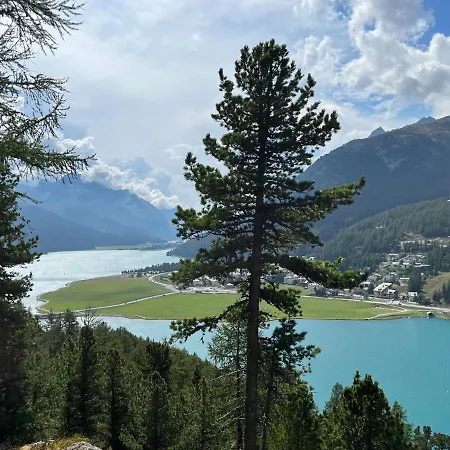 Chesa Munteratsch 2-zimmerwohnung 302 Typ E 席尔瓦普拉纳