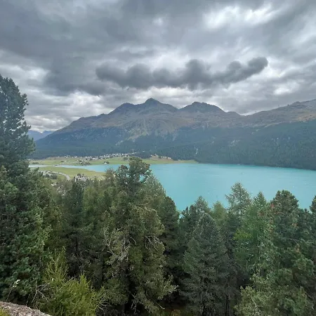 Chesa Munteratsch 2-zimmerwohnung 302 Typ E 公寓 *