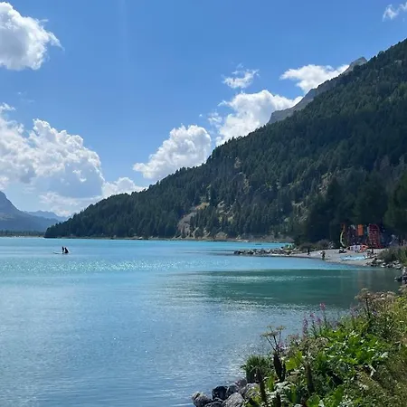 公寓 Chesa Munteratsch 2-zimmerwohnung 302 Typ E 席尔瓦普拉纳