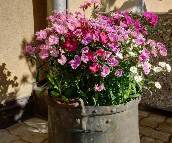 Apartman Chesa Munteratsch 2-zimmerwohnung 302 Typ E *