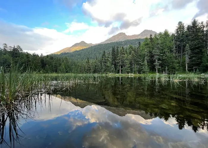 Chesa Munteratsch 2-zimmerwohnung 302 Typ E Silvaplana