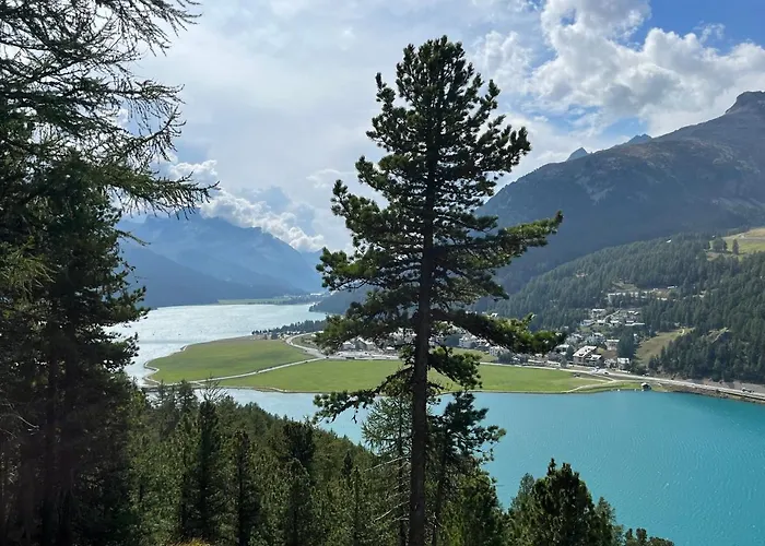 Chesa Munteratsch 2-zimmerwohnung 302 Typ E Silvaplana